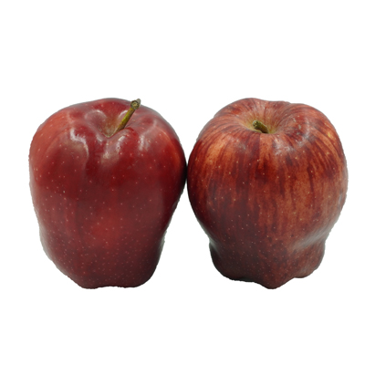 แอปเปิ้ลแดง 113