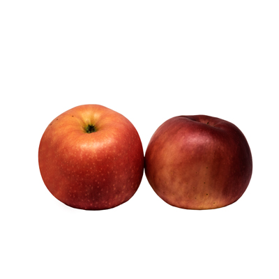 แอปเปิ้ลฟูจิ เบอร์ 88