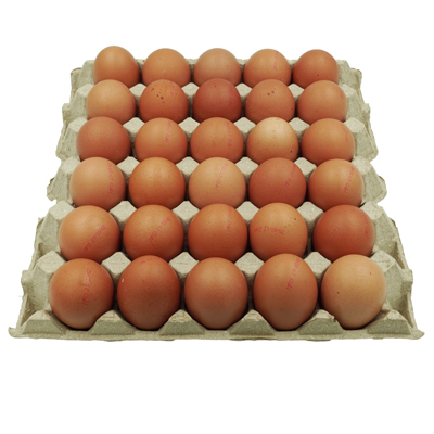 ไข่ไก่-เบอร์-3-อนามัย