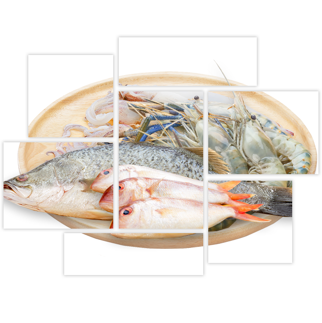 อาหารทะเล เนื้อปลา กุ้ง ปลาหมึกสดทุกตัว อาหารทะเล เนื้อปลา กุ้ง ปลาหมึกสดทุกตัว